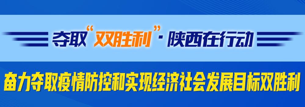 陕西关于坚决打赢疫情防控阻击战促进经济平稳健康发展的意见
