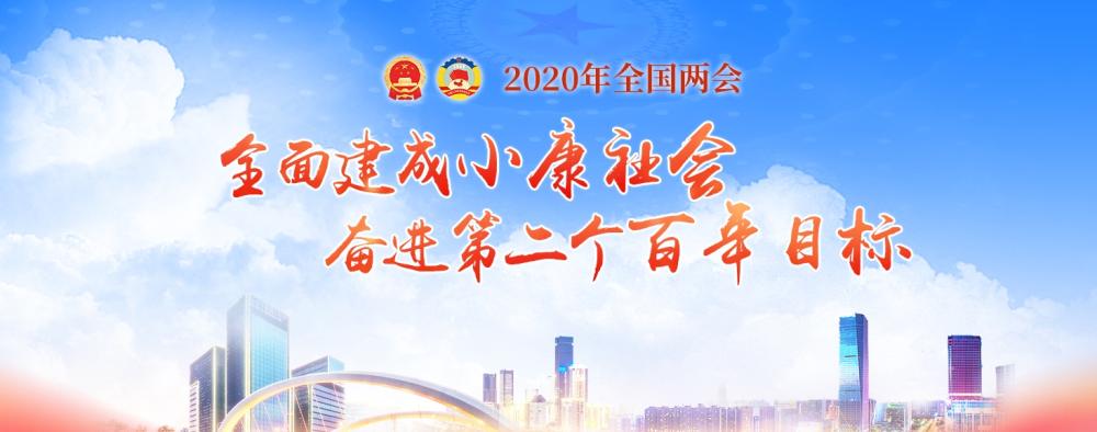 2020年全国两会